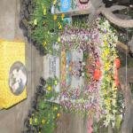 Vraj-Yatra-2014- (2450)